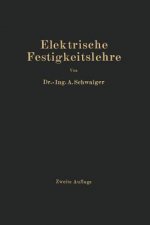 Elektrische Festigkeitslehre