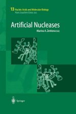 Artificial Nucleases