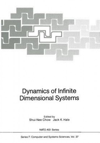 Dynamics of Infinite Dimensional Systems, 1