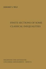 Finite Sections of Some Classical Inequalities, 1