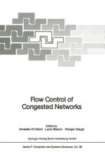 Flow Control of Congested Networks