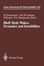 Bluff-Body Wakes, Dynamics and Instabilities