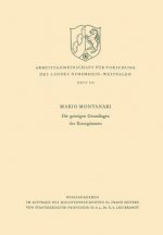 Die Geistigen Grundlagen Des Risorgimento