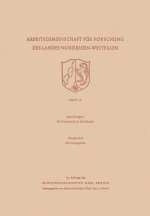 Problematik Der Distribution / Der Leistungslohn