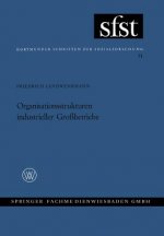Organisationsstrukturen Industrieller Gro betriebe