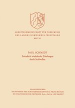 Periodisch Wiederholte Zundungen Durch Stosswellen