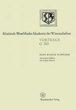 Ammonios Sakkas, Der Lehrer Plotins