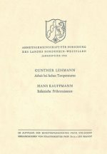 Arbeit Bei Hohen Temperaturen. Italienische Fr hrenaissance