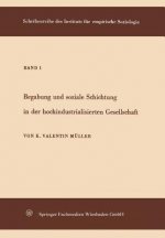 Begabung Und Soziale Schichtung in Der Hochindustrialisierten Gesellschaft