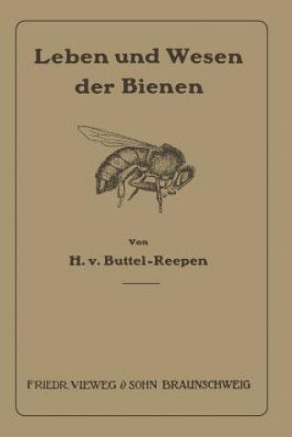 Leben Und Wesen Der Bienen
