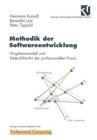 Methodik der Softwareentwicklung, 1