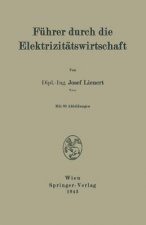 Fuhrer Durch Die Elektrizitatswirtschaft