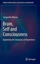 Brain, Self and Consciousness