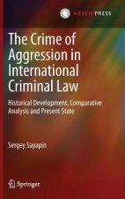 Crime of Aggression in International Criminal Law