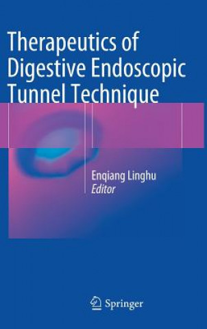 Therapeutics of Digestive Endoscopic Tunnel Technique