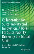 Collaboration for Sustainability and Innovation: A Role For Sustainability Driven by the Global South?