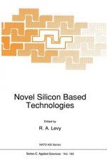 Novel Silicon Based Technologies