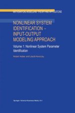 Nonlinear System Identification   Input-Output Modeling Approach, 1