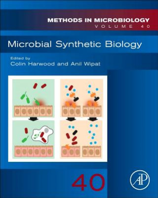 Microbial Synthetic Biology