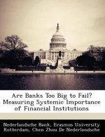 Are Banks Too Big to Fail? Measuring Systemic Importance of Financial Institutions