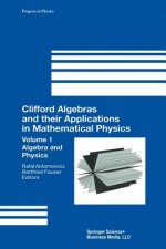 Clifford Algebras and their Applications in Mathematical Physics, 1