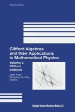 Clifford Algebras and their Applications in Mathematical Physics, 1