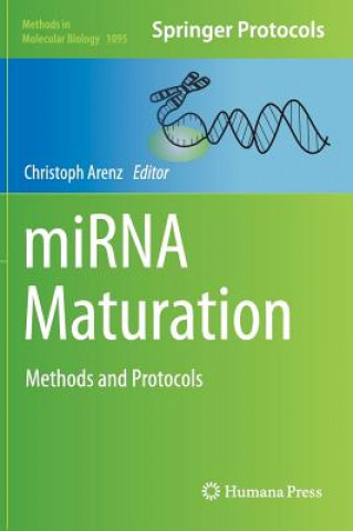 miRNA Maturation