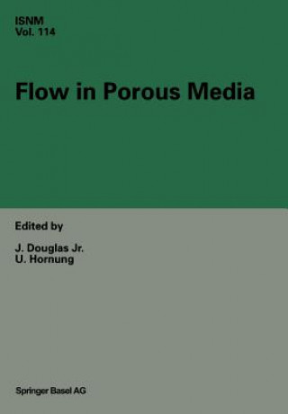 Flow in Porous Media