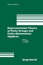 Representation Theory of Finite Groups and Finite-Dimensional Algebras