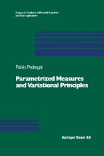 Parametrized Measures and Variational Principles