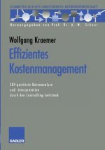 Effizientes Kostenmanagement