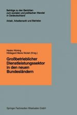 Gro betrieblicher Dienstleistungssektor in Den Neuen Bundesl ndern