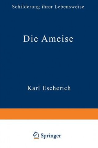 Die Ameise