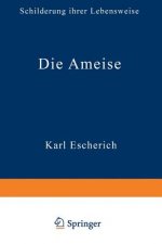 Die Ameise