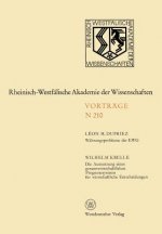 W hrungsprobleme Der Ewg / Die Ausnutzung Eines Gesamtwirtschaftlichen Prognosesystems F r Wirtschaftliche Entscheidungen