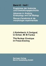 Nuclear Envelope in Freeze-Etching