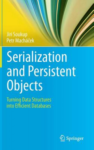 Serialization and Persistent Objects