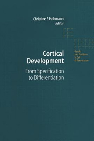 Cortical Development