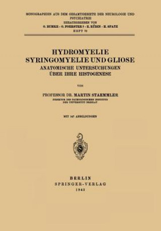 Hydromyelie Syringomyelie Und Gliose