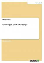 Grundlagen des Controllings