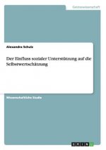 Einfluss sozialer Unterstutzung auf die Selbstwertschatzung