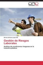 Gestion de Riesgos Laborales