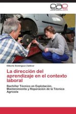 direccion del aprendizaje en el contexto laboral