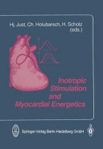 Inotropic Stimulation and Myocardial Energetics