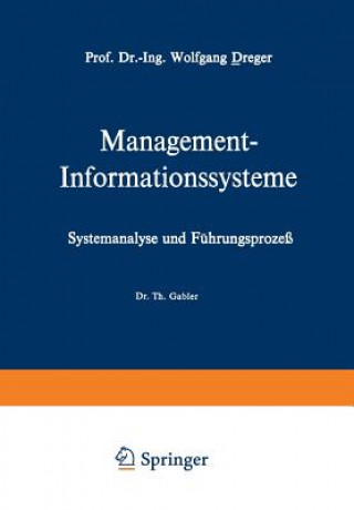 Management-Informationssysteme