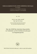 ber Den Einflu  Der Elastischen Eigenschaften Von Tonb ndern Auf Die Tonh henschwankungen Von Magnettonger ten