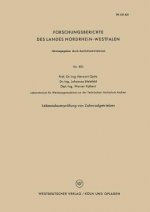 Lebensdauerpr fung Von Zahnradgetrieben