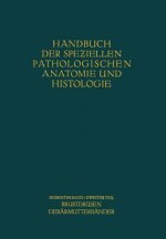 Weibliche Geschlechtsorgane