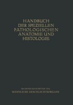 Harnorgane Mannliche Geschlechtsorgane