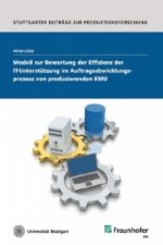 Modell zur Bewertung der Effizienz der IT-Unterstützung im Auftragsabwicklungsprozess von produzierenden KMU.